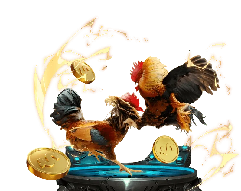 Cá cược thể thao mới Top88